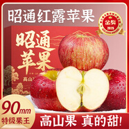 四叔公果蔬云南昭通蘋(píng)果【閃送】丑蘋(píng)果紅露脆甜非富士冰糖心當季新鮮現摘 精品果（單果60-70mm） 5斤裝【超值推薦】80%選擇