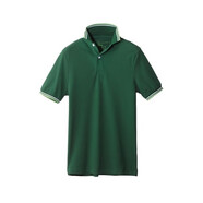 佐丹奴（Giordano）短袖Polo衫夏季男士翻領(lǐng)T恤刺繡圖案純色多色常規(guī)短袖 58草坪綠色021001 2XL