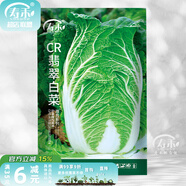 壽禾 大白菜種子大全秋季籽娃娃菜山東蔬菜四季播天津青麻葉菜籽 （翡翠）黃心白菜種子12g約4千粒