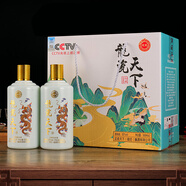 龍瓷龍瓷天下酒52度濃香型500ml 52%vol 500mL 2瓶