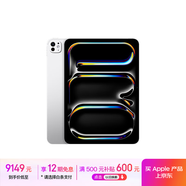 Apple/蘋果 iPad Pro 11英寸 M4芯片 2024年新款平板電腦(512G WLAN版/MVVD3CH/A)銀色