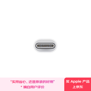 Apple/蘋(píng)果 USB-C/Typc-C轉(zhuǎn)閃電接口轉(zhuǎn)換器-編織線 有線耳機(jī)轉(zhuǎn)換充電線轉(zhuǎn)換  適用于iPhone/iPad