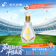 今世緣 國緣V3 濃香型白酒 40.9度 100ml 小酒