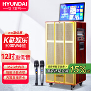 HYUNDAI現(xiàn)代家庭ktv音響套裝卡拉ok點(diǎn)歌機(jī)一體機(jī)廣場(chǎng)舞音響帶顯示屏視頻機(jī)電視k歌家用戶外藍(lán)牙音箱低音炮 12寸重低音喇叭（352G內(nèi)存）