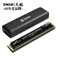 天鵝SWAN 24孔復(fù)音演奏口琴C調(diào)（音位標(biāo)注）黑色