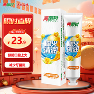 兩面針（LMZ）四味針火牙膏 清新口氣 緩解口腔上火 1支200g 國貨老牌