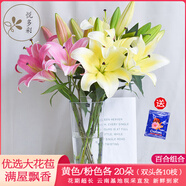 悅多彩AB級(jí)優(yōu)質(zhì)香水百合 家庭辦公室各色生活鮮花 昆明基地 現(xiàn)采直發(fā) 百合組合40朵（黃色/粉色各20朵）