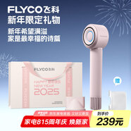 飛科（FLYCO）高速電吹風(fēng)機(jī)家用負(fù)離子護(hù)發(fā)吹風(fēng)筒速干便攜節(jié)日禮物鉆石粉FH6371配掛架