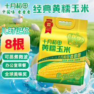 十月稻田 黃糯玉米 3.52斤(220g*8根) 東北甜黏玉米棒 早餐苞米 真空包裝