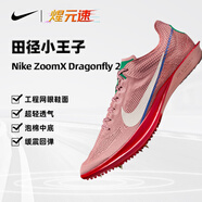 耐克煋元速專(zhuān)業(yè)跑鞋2025新款Dragonfly 2田徑長(cháng)跑釘鞋學(xué)生體考訓練鞋 長(cháng)跑紅色HQ2060-600 40.5