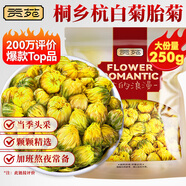 貢苑菊花茶 胎菊250g頭采特優(yōu)級大份實惠裝貢菊杭白菊花蕾花草茶葉