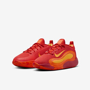 耐克正品耐克NIKE兒童中大童時(shí)尚緩震系帶舒適籃球運(yùn)動(dòng)鞋F(xiàn)N4384-800 FN4384-800 35 碼/3y/腳長(zhǎng)22cm