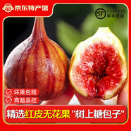 騎猴趕馬四川紅皮無花果(順豐)現(xiàn)摘一級果應季孕婦新鮮水果禮盒紫皮無花果 1.5斤裝【單果35g+】凈重1.4斤