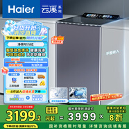 海爾（Haier）【小紅花套系】云溪波輪洗衣機(jī)全自動(dòng)家用 10公斤后控  家電國(guó)家補(bǔ)貼 雙動(dòng)力防纏繞MS100-BZ568H