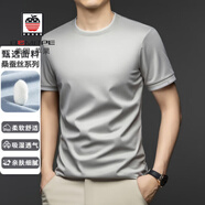 AEMAPE美國(guó)蘋果高端桑蠶絲短袖t恤夏季新款男士圓領(lǐng)上衣休閑純色體恤 淺灰 M 170-建議100-125斤