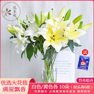 悅多彩AB級(jí)優(yōu)質(zhì)香水百合 家庭辦公室各色生活鮮花 昆明基地 現(xiàn)采直發(fā) 百合組合20朵（白色/黃色各10朵）