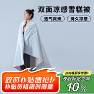 艾薇 A類涼感雪糕被空調(diào)夏涼被雙人被子夏季 200*230cm 高級藍灰