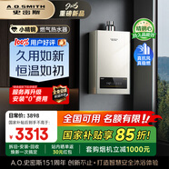史密斯（A.O.SMITH）【小精鋼EC3】16升精鋼燃?xì)鉄崴?國(guó)家補(bǔ)貼 全免安裝 不銹鋼換熱器包8年 持久恒溫大水量 新品