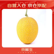 京鮮生 天山一號(hào) 黃金哈密瓜 1粒裝 單果3斤起 生鮮水果