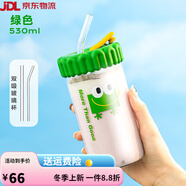 迪樂貝爾網(wǎng)紅玻璃杯家用ins風(fēng)高顏值帶把手吸管水杯耐高溫辦公杯 530ml 綠色雙飲玻璃杯(+貼紙)