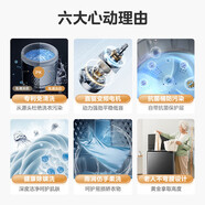 美的MB100V36DT波輪洗衣機 MB100V36DT