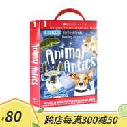 英文原版 Home School Box Sets 學樂家庭教育套裝 寶寶啟蒙漫畫讀物 兒童繪本 Animal Antics