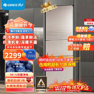 格力231升三門(mén)小型電冰箱多門(mén)風(fēng)冷無(wú)霜節能靜音 BCD-231WETC/時(shí)代金 BCD-231WETG/浮光金