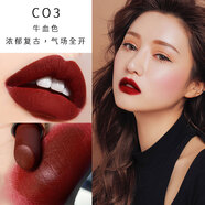 紅與黑（RED&BLACK）紅與黑金鉆口紅啞光絲絨唇膏豆沙牛血色小辣 多色 c01山楂豆沙