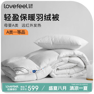 拉芙菲爾五星級酒店母嬰A類(lèi)抗菌51%白鴨絨國產(chǎn)羽絨被 冬被4.5斤200*230CM