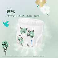 好奇心鉆裝成長(cháng)褲嬰兒拉拉褲透氣訓練褲尿不濕超薄小森林小內褲 紙尿褲S84片