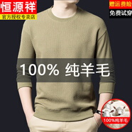 恒源祥（HYX）純羊毛長袖T恤男士春秋季新款圓領(lǐng)純色休閑針織羊毛衫男款打底衫 豆綠色【355812款】 XL 180(建議130-150斤)