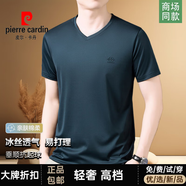 皮爾卡丹（pierre cardin）高檔正品廣東普寧男士短袖t恤衫夏季薄款冰絲無(wú)痕抗皺V領(lǐng)半袖體恤 藍色【高品質(zhì) 放心購買(mǎi)】 XL (175) 建議【130-155斤】