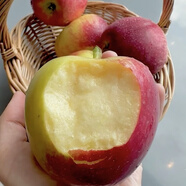 阿克蘇蘋(píng)果;AKSU；AKESU APPLE正宗阿克蘇魯麗嘎啦蘋(píng)果【順豐】紅旗坡新鮮時(shí)令紅富士蘋(píng)果園直發(fā) 阿克蘇魯麗蘋(píng)果8斤【75-85】純甜