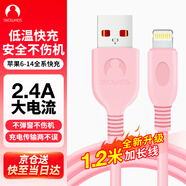Snowkids蘋(píng)果數據線(xiàn)iphone充電線(xiàn)快充大粉1.2米適用iphone13/12/SE/6/11Pro/XsMax/XR/X/8/7電源線(xiàn)