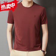 勁霸短袖T恤男圓領(lǐng)夏季薄款休閑純色中年男士體恤衫 磚紅 4XL 195碼/58