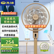 先鋒【雙層平面柔風(fēng)】家用雙環(huán)18片風(fēng)扇落地扇輕音節(jié)能空氣循環(huán)扇直流電機(jī)落地扇國家補(bǔ)貼DPS-P1RC