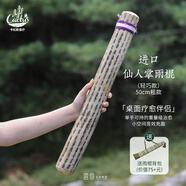 CACTUS雨棍樂器云愈仙人掌療愈雨棍智利進(jìn)口民族樂器瑜伽小眾手工 仙人掌雨棍粗款50cm