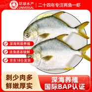 環(huán)球水產(chǎn) 南海金鯧魚700g 2條 BAP認(rèn)證深海魚 冷凍 生鮮魚類海鮮 家庭聚餐