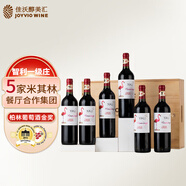 柏格倫Bwrgedllmz【連續(xù)4年智利一級莊】智利原瓶進口紅酒 干紅葡萄酒禮盒送禮 火烈鳥西拉赤霞珠木盒 750ml 6支