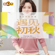 初徑媽媽秋裝低領(lǐng)毛衣時(shí)尚中老年女裝內(nèi)搭圓領(lǐng)長(zhǎng)袖針織打底衫上衣薄 淺粉 315 M 建議85-100斤