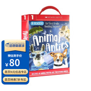 英文原版 Home School Box Sets 學(xué)樂(lè )家庭教育套裝 寶寶啟蒙漫畫(huà)讀物 兒童繪本 Animal Antics