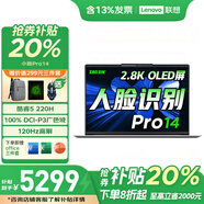 聯(lián)想小新Pro14全新筆記本電腦2025補貼20%標壓酷睿i7/TB14/V14 3D建模視頻剪輯游戲辦公大學(xué)生網(wǎng)課手提 標配Core5 220H 24G 1TPro14 IPS全高清屏 獨顯級顯卡 