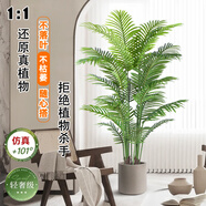 黛暢仿真綠植高端輕奢散尾葵落地盆栽假花樹(shù)室內客廳仿生植物裝飾擺件 1.2米散尾葵優(yōu)質(zhì)款 送白色U形盆（送椰絲/吊牌）
