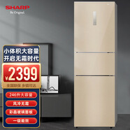 SHARP夏普雙開(kāi)兩門(mén)冰箱風(fēng)冷無(wú)霜出租房家用小型電冰箱鈑金面板無(wú)邊框懸浮設計家用臥室小冰箱 BCD-246WTGE-N米羅金+玻璃面板246升
