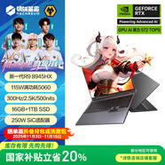 機(jī)械革命【國家補(bǔ)貼20%】蛟龍16Pro 2025 16英寸游戲電競筆記本電腦(R9-8945HX 16G 1T RTX5060 300HZ  灰)