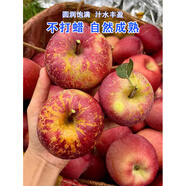 胖東來(lái)品質(zhì)大涼山丑蘋果新鮮大涼山丑蘋果10斤冰糖心蘋果水果當(dāng)季 5斤 85mm(含)-90mm(不含) 特大果丨又大又甜
