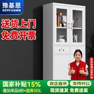豫基恩 文件柜鐵皮柜儲(chǔ)物柜抽屜柜辦公柜資料柜玻璃柜檔案柜憑證柜柜子 中二斗器文件柜 0.3mm