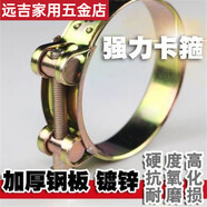 俏博萊子箍緊箍水管油管加厚扣燃管軟管管管夾固定鎖喉箍 (2寸)56-59mm 歐式(6分)2628mm直徑2個(gè)