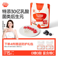 秋田滿滿無糖棒棒糖兒童零食藍(lán)莓味無添加0糖0脂享嬰幼兒寶寶零食譜24g