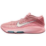 耐克（NIKE）男鞋 25秋季新款運動(dòng)鞋時(shí)尚耐磨訓練籃球鞋 FV5952-602 41 (260mm)
